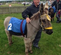 Seamus, Donkey Derby Beverley